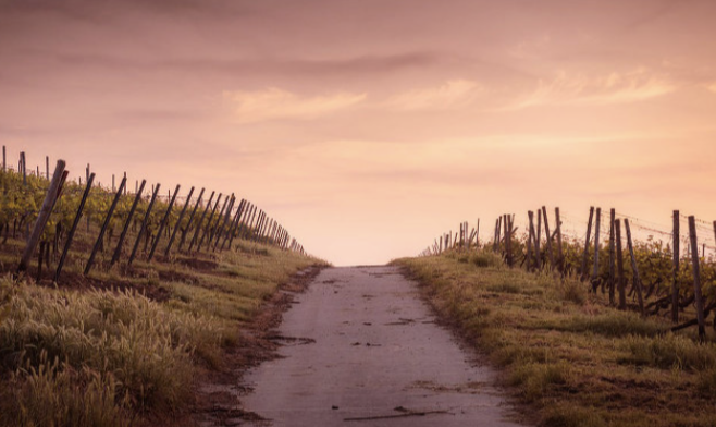 스크린샷 2020-02-27 오후 5.56.21.png