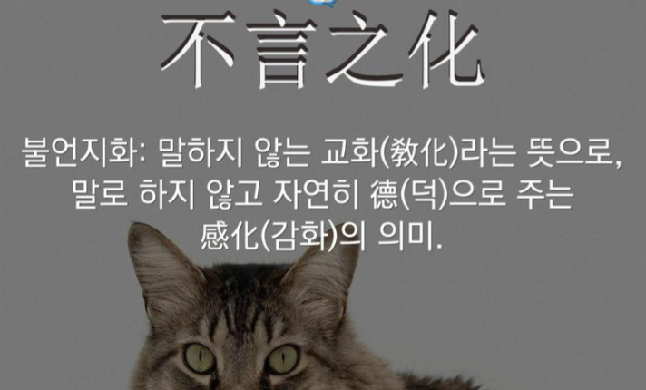 스크린샷 2020-04-25 오후 10.24.53.png