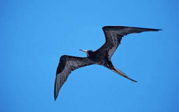 스크린샷 2020-03-12 오전 9.48.43.png