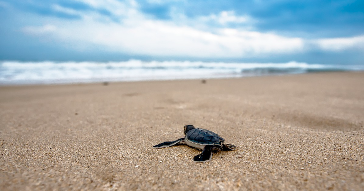 스크린샷 2018-12-19 오후 10.59.29.png