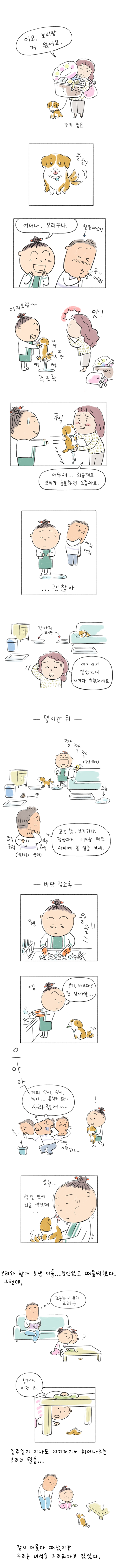 강아지 보리와진이.png
