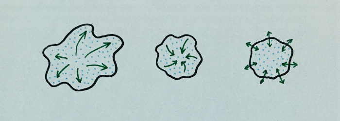 아메바의 맥동.png