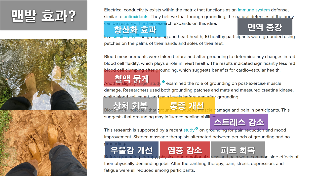 맨발걷기 효과.png