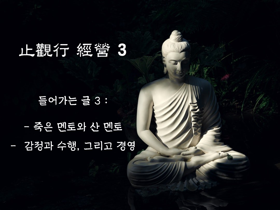 블로그_서문_3_감정과 수행 그리고 경영.png