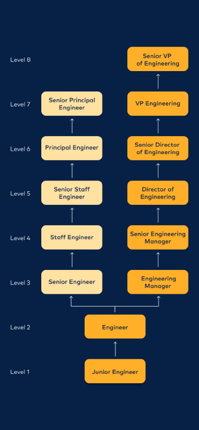 62df8d6cc453640afdbdeb7f_62de57d785a5c058fda99a4c_2.4_career evolution.png