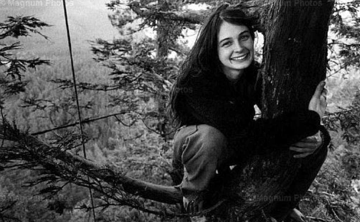 스크린샷 2024-11-14 오후 6.55.15.png