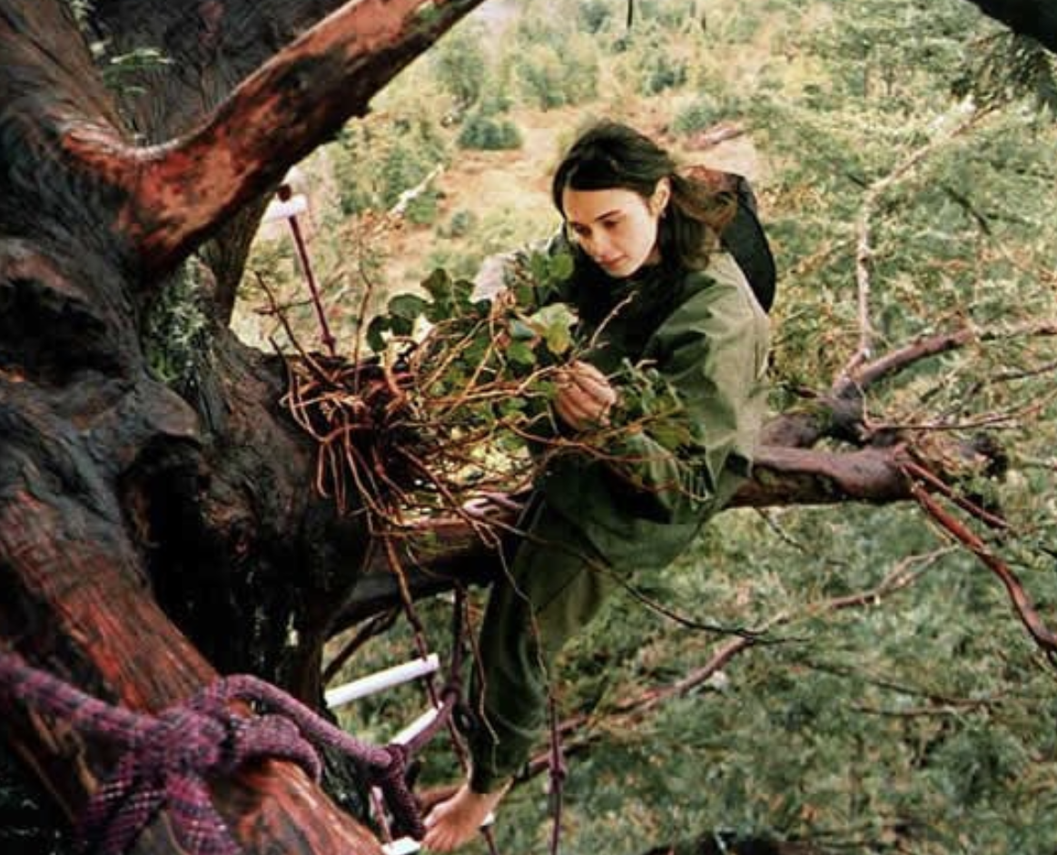 스크린샷 2024-11-14 오후 6.55.02.png