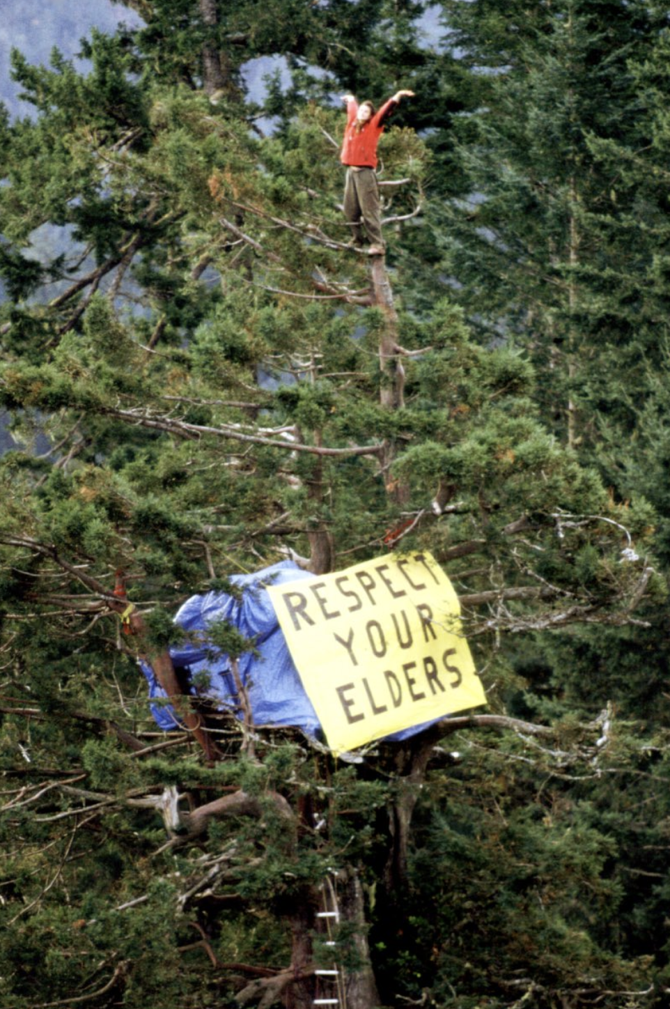 스크린샷 2024-11-14 오후 6.54.47.png