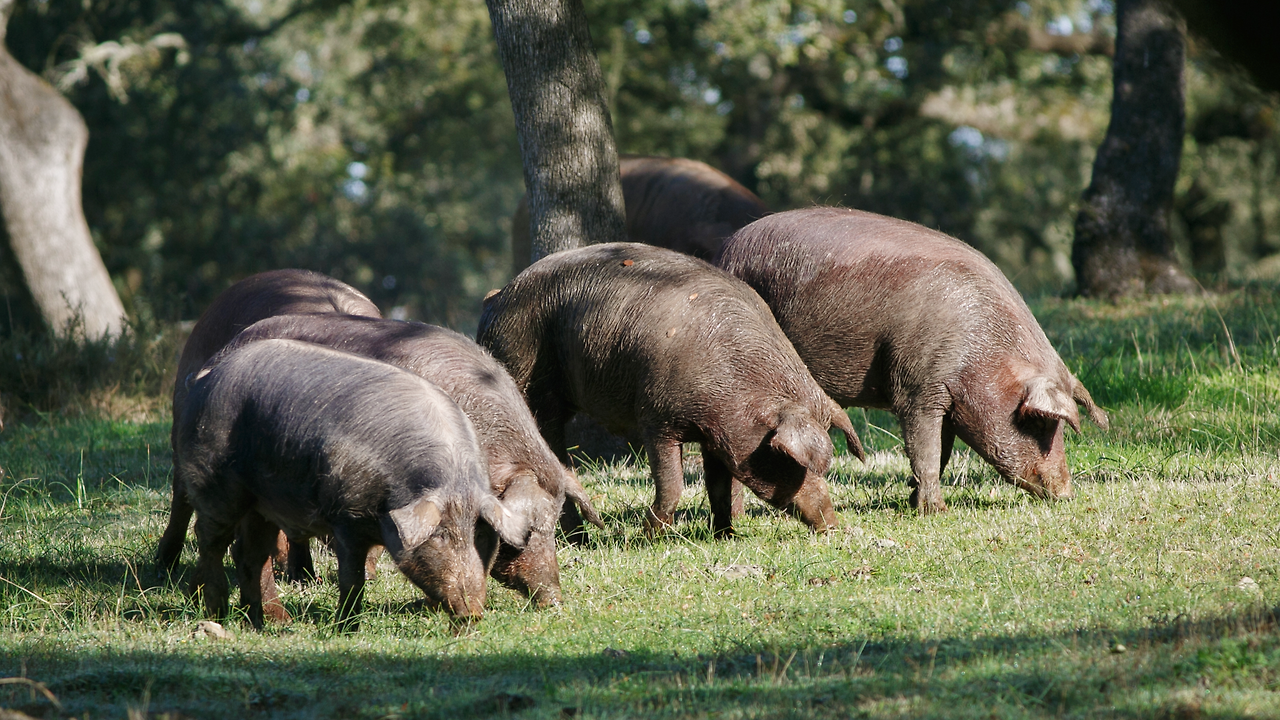 GettyImages-915796274 보정.png