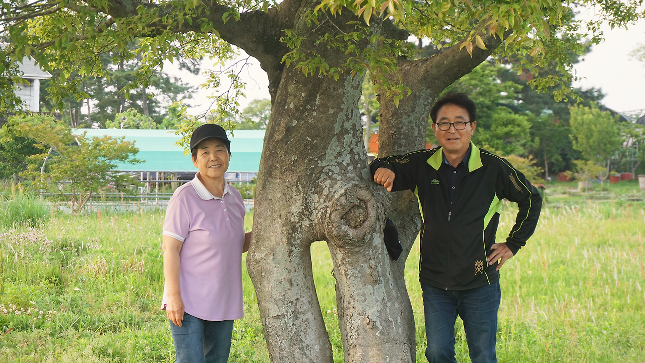 DSC00618 사이즈축소.png