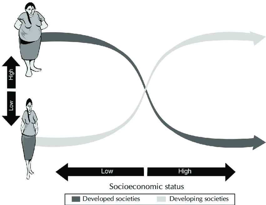 Relationship-between-obesity-and-socioeconomic-status.png