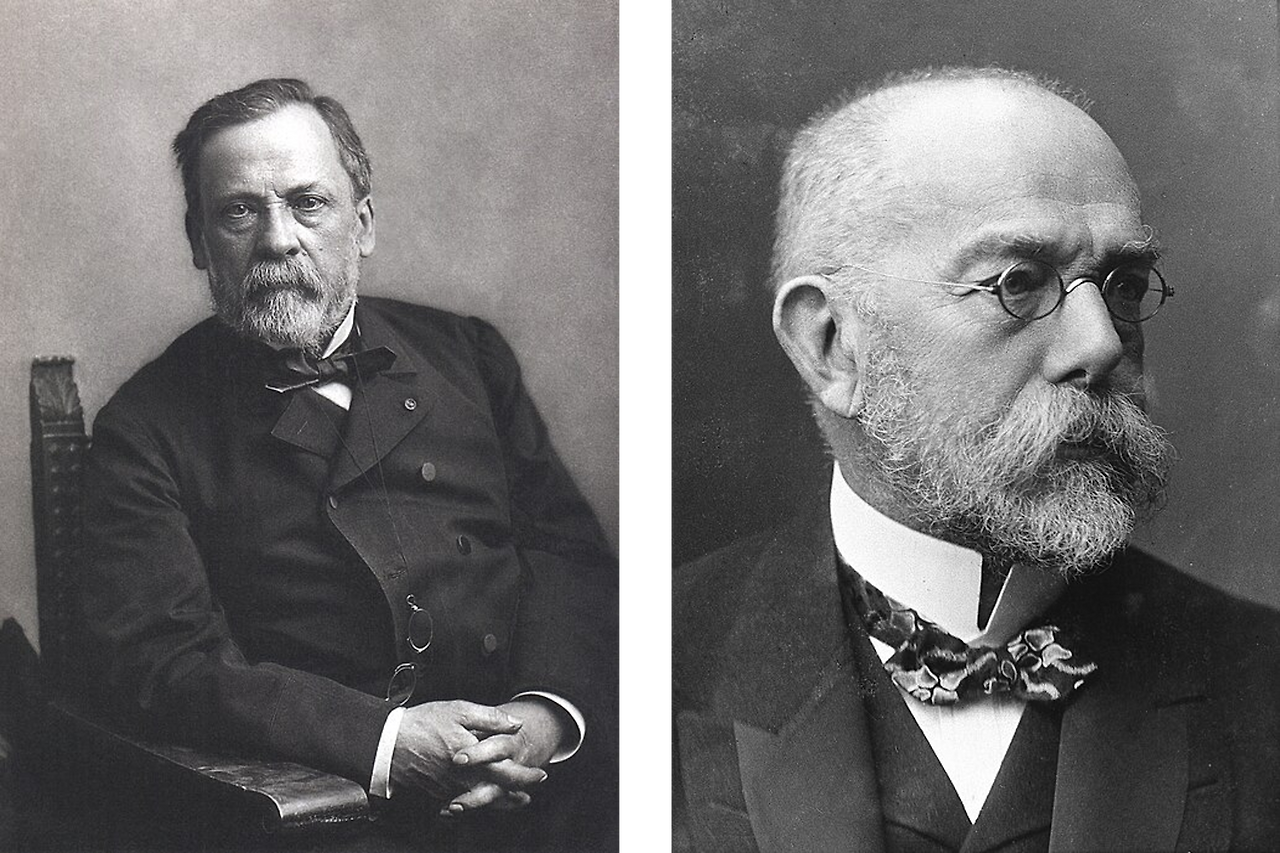 Pasteur, Koch.png