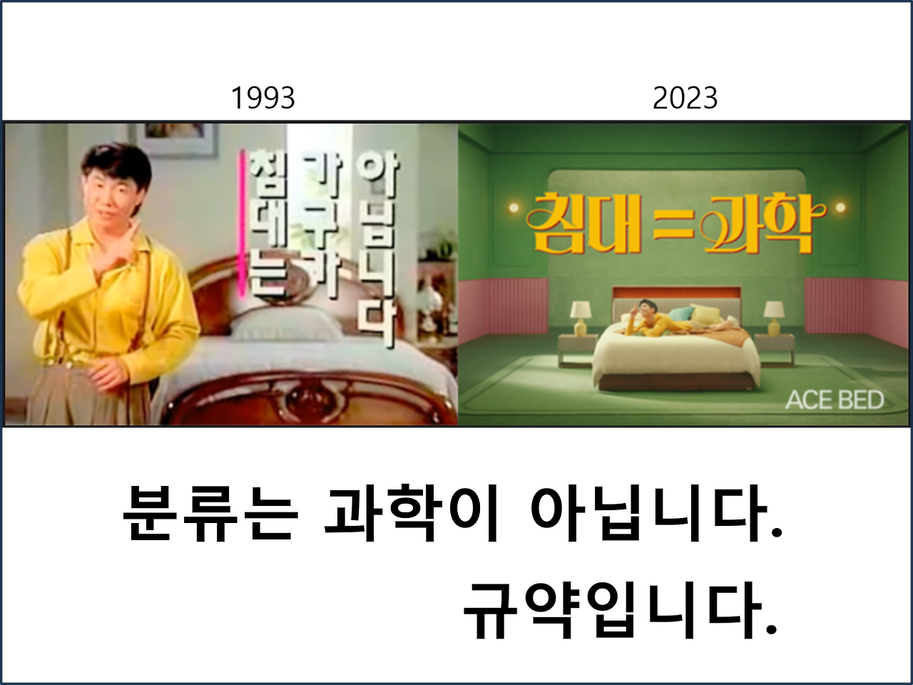 곰팡이 분류.png