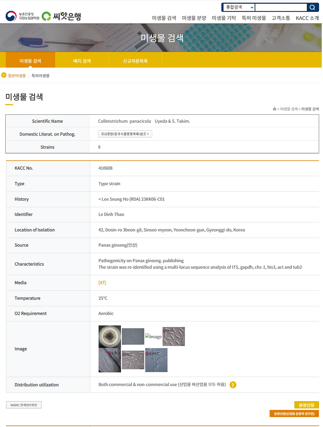 KACC 인삼탄저병.png