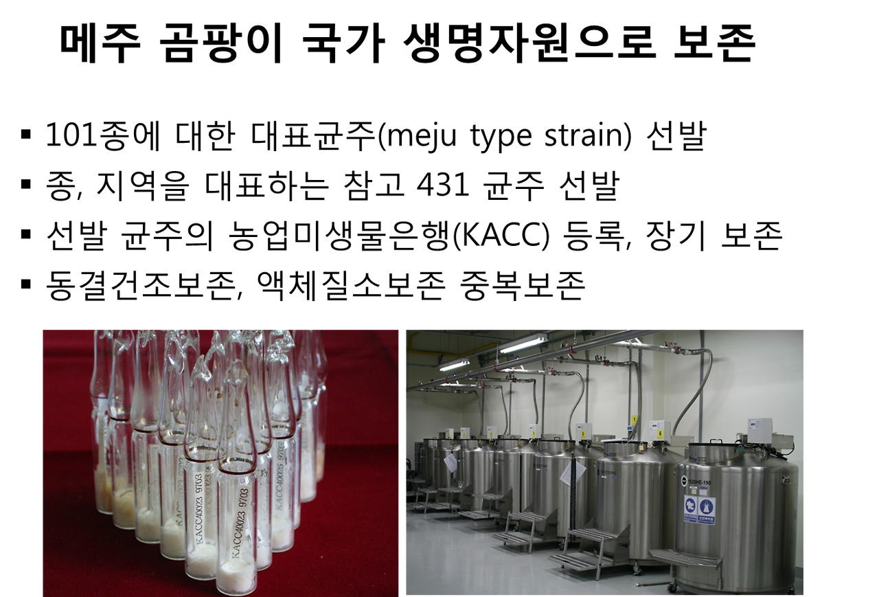 그림14 메주곰팡이의 국가 생물자원으로 보존.png