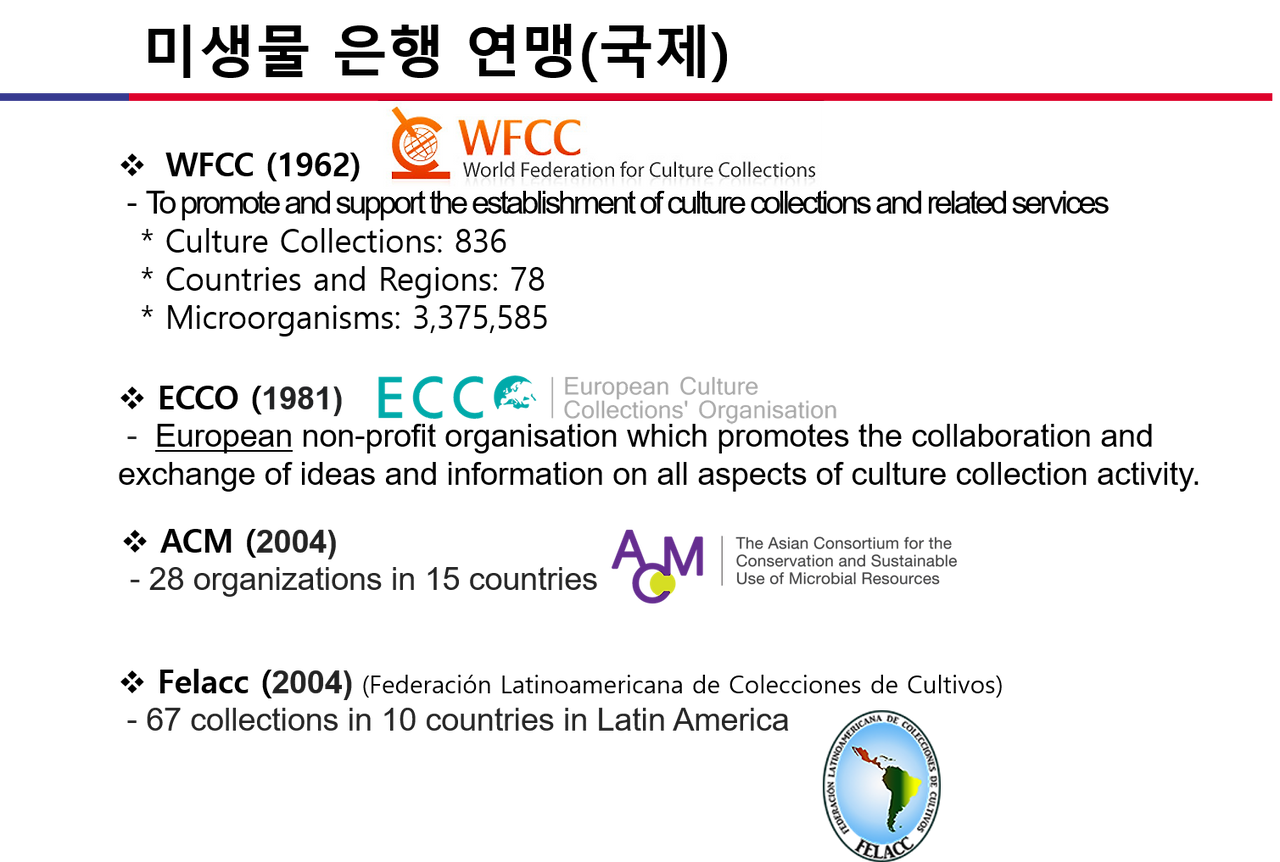 국제 네트워크 구축.png