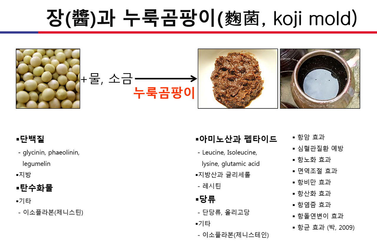 장과 누룩곰팡이.png