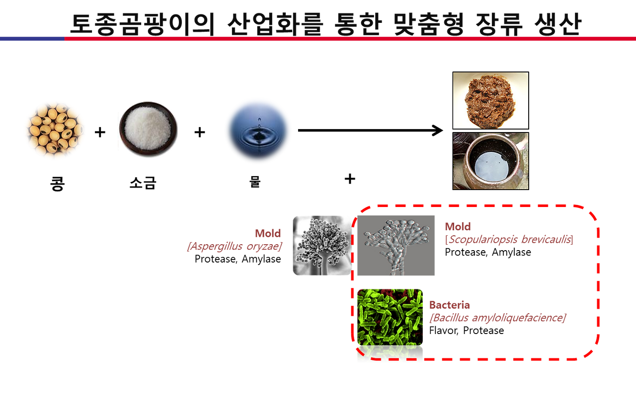 그림15 토종곰팡이의 산업화.png