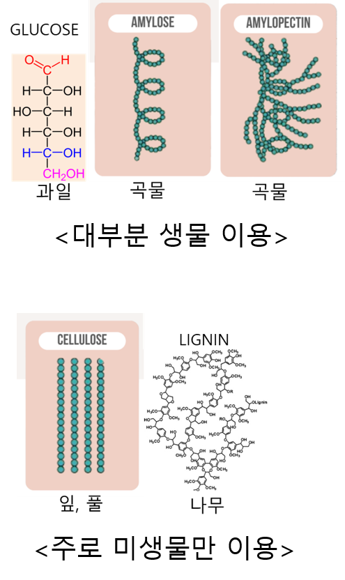 식물생산물의 이용(1).png
