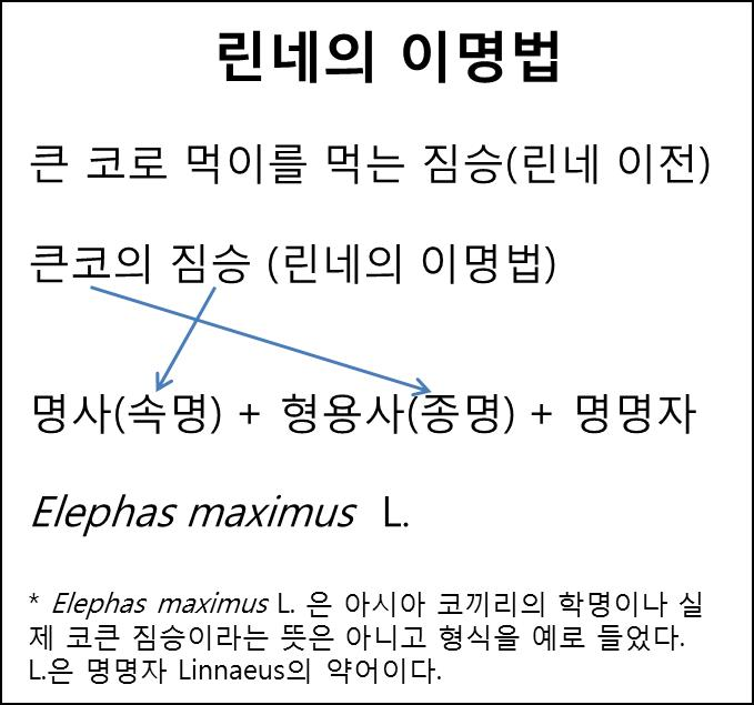 린네의 이명법.png