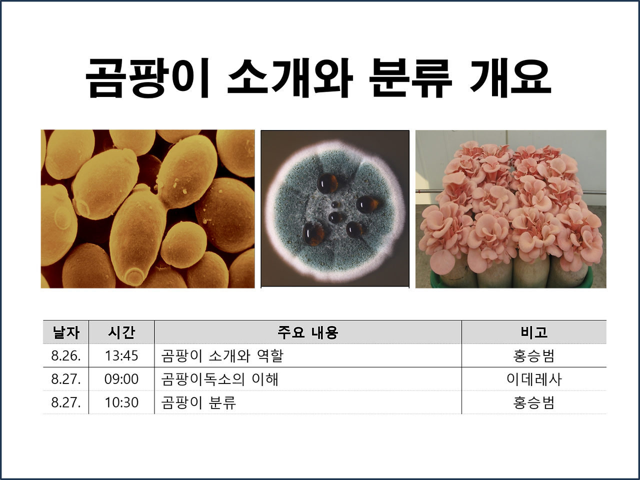 곰팡이 소개와 분류 개요.png