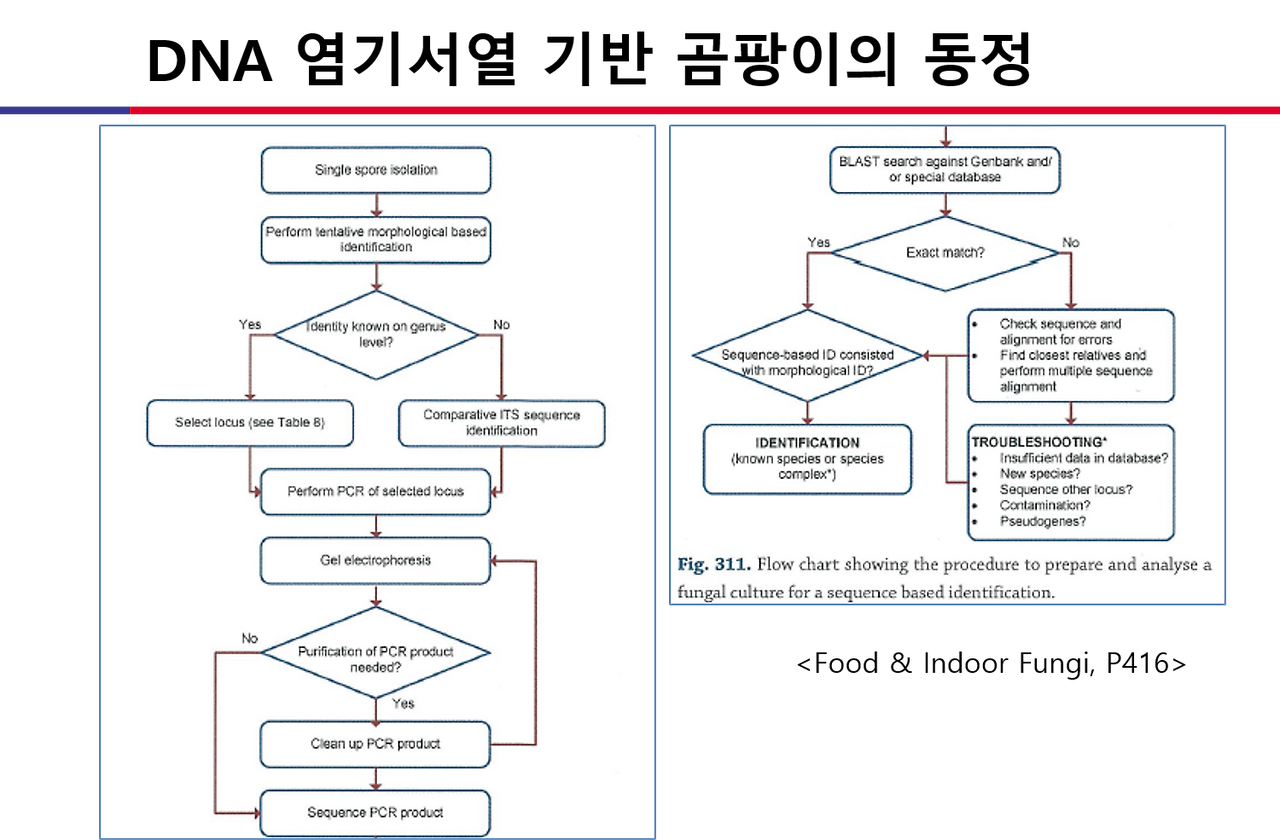 곰팡이 분바분ㄹ 과정.png
