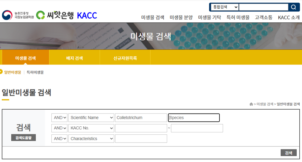 그림-KACC 검색.png