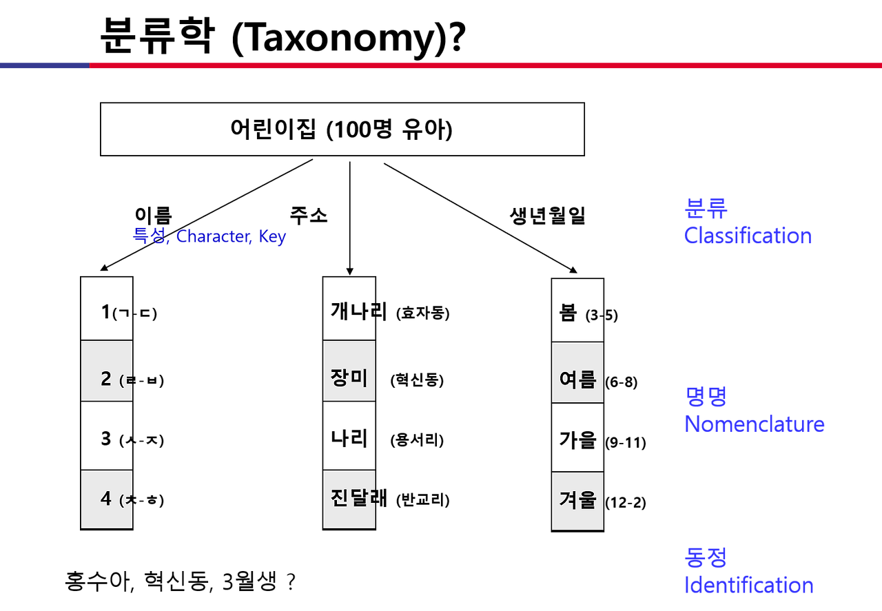 분류학.png