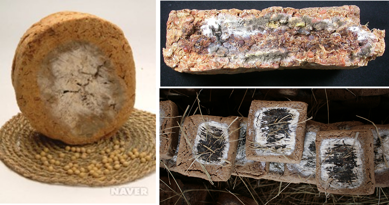 그림 7 잘 발효된 메주.png