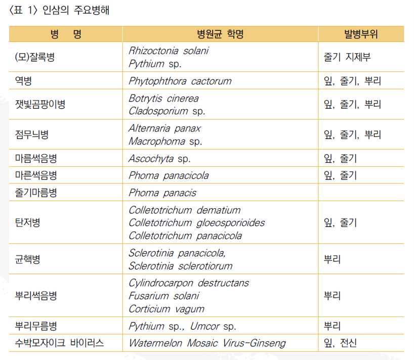 표 인삼의 주요 병해.png