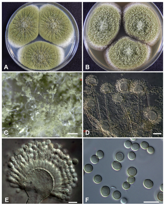스크린샷 2023-11-04 210010.png