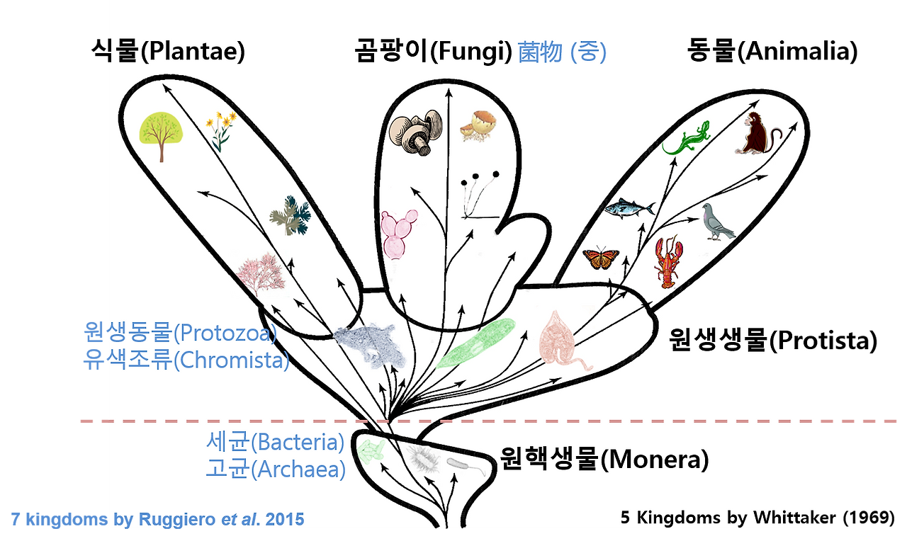 생물의 구성.png