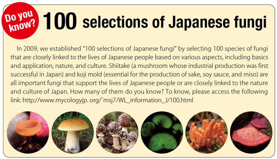 일본균류백선.png