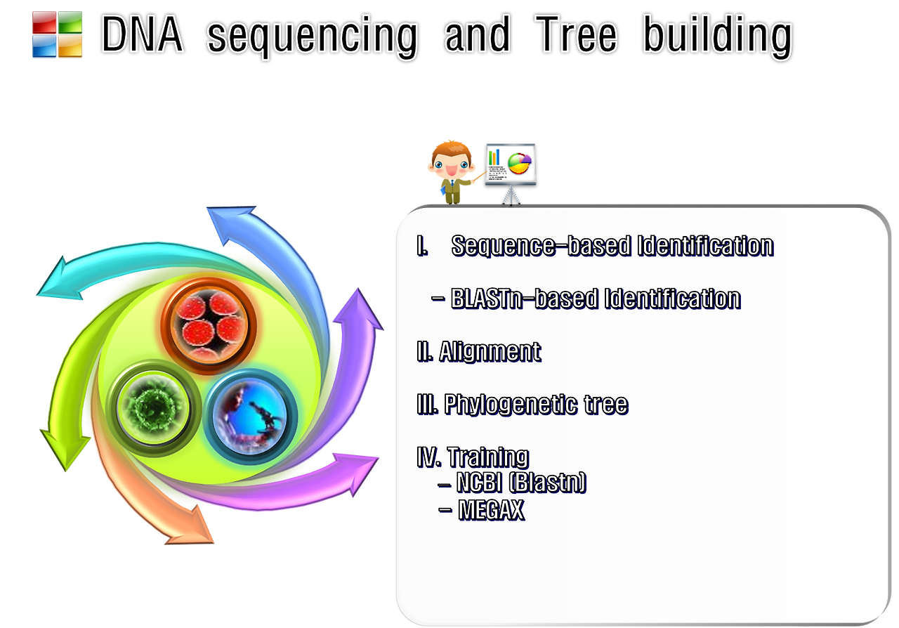 DNA sequence and tree building 3.png