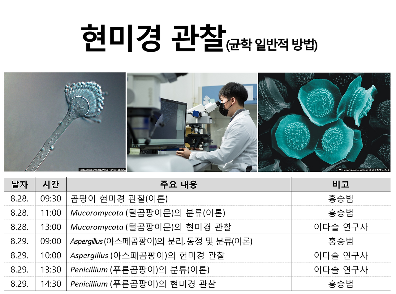 현미경 관찰.png