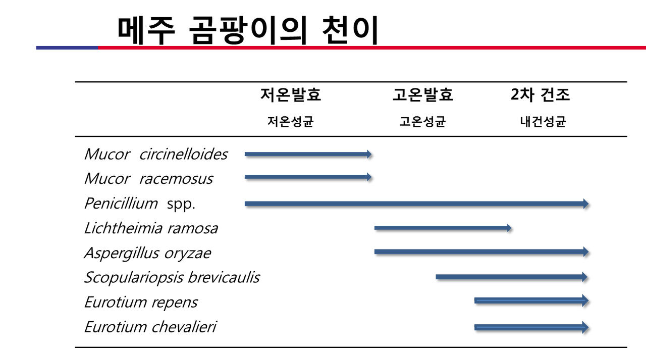 그림13 메주곰팡이의 천이.png