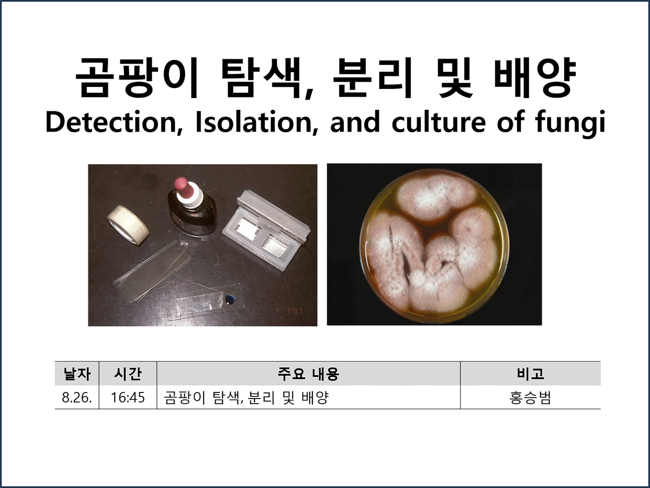 곰팡이 탐색, 분리 및 배양.png