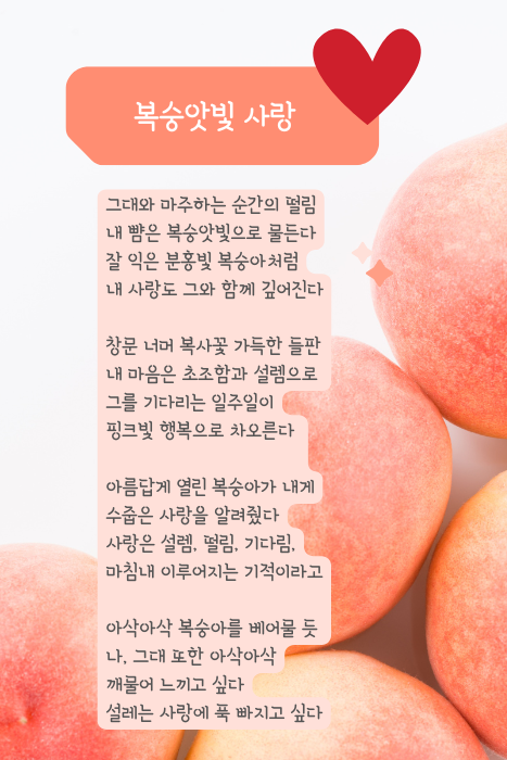 핑크 주황색 복숭아 과일 공동 구매 예약 판매 알림 안내 인스타그램 포스트 (467 x 700 px).png