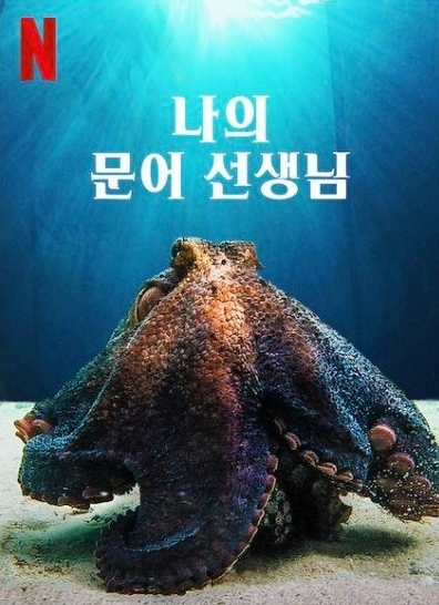 나의 문어선생님.png