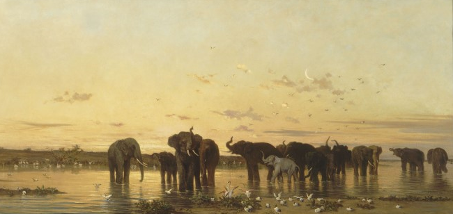 아프리카의 코끼리.png