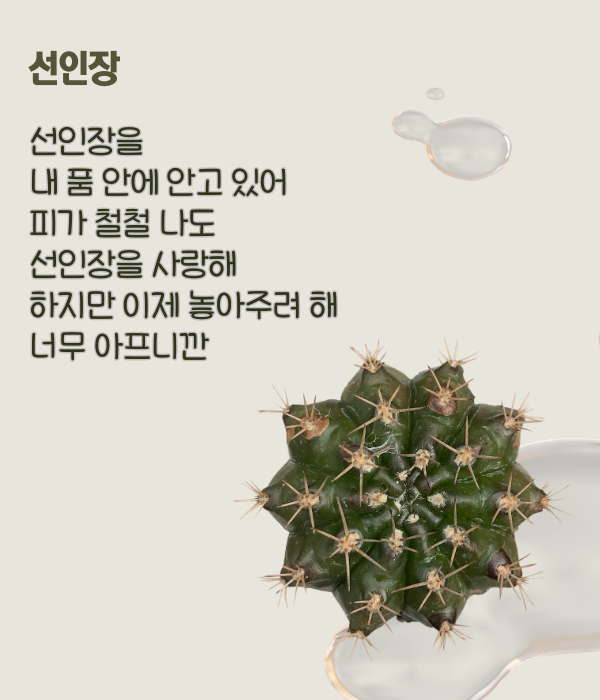 베이지 선인장 사진 가드닝 클래스 instagram 게시물 (600 x 700 px) (2).png