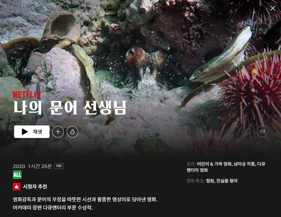 나의 문어선생님1.png