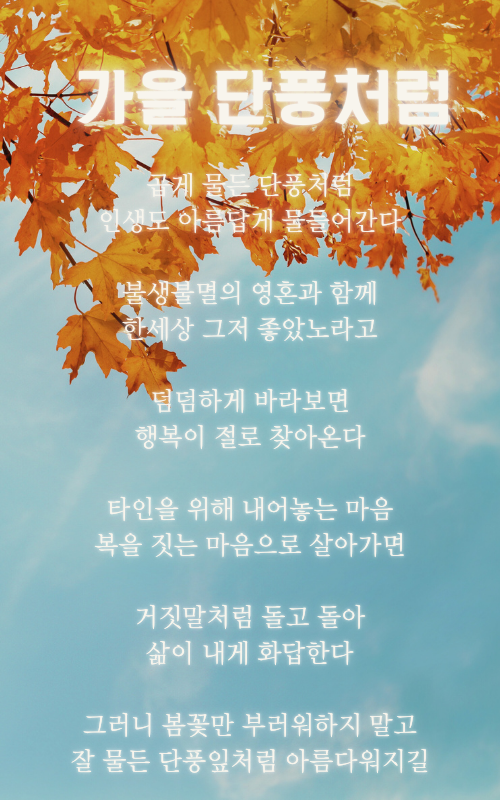 하늘 노랑 가을 문구 인스타그램 post (500 x 800 px) (1).png