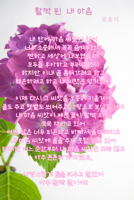 Pink Aesthetic Floral Hello July Instagram Story (467 x 700 px).png