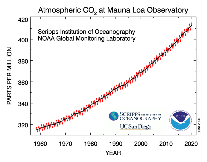 co2_data_mlo.png