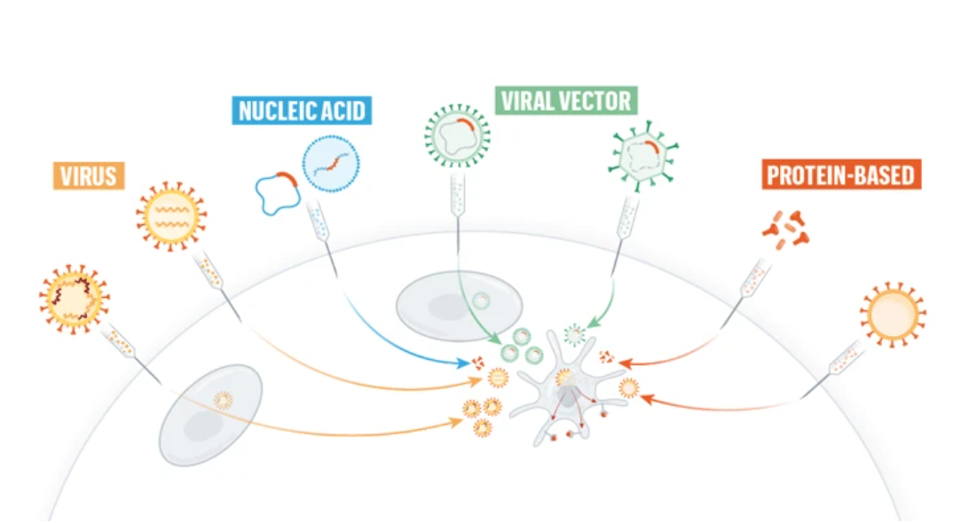 코로나19 백신 8가지 종류.png