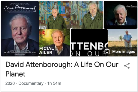 Screenshot 2020-10-25 at 6.18.08 PM.png