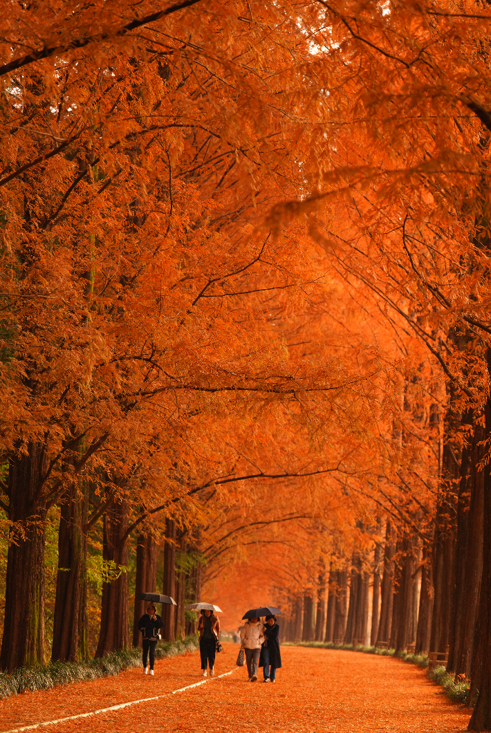 스크린샷 2025-11-25 오후 7.50.15.png