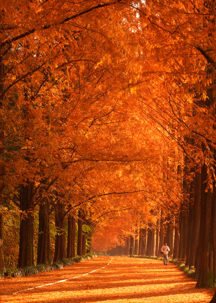 스크린샷 2025-11-25 오후 7.48.28.png