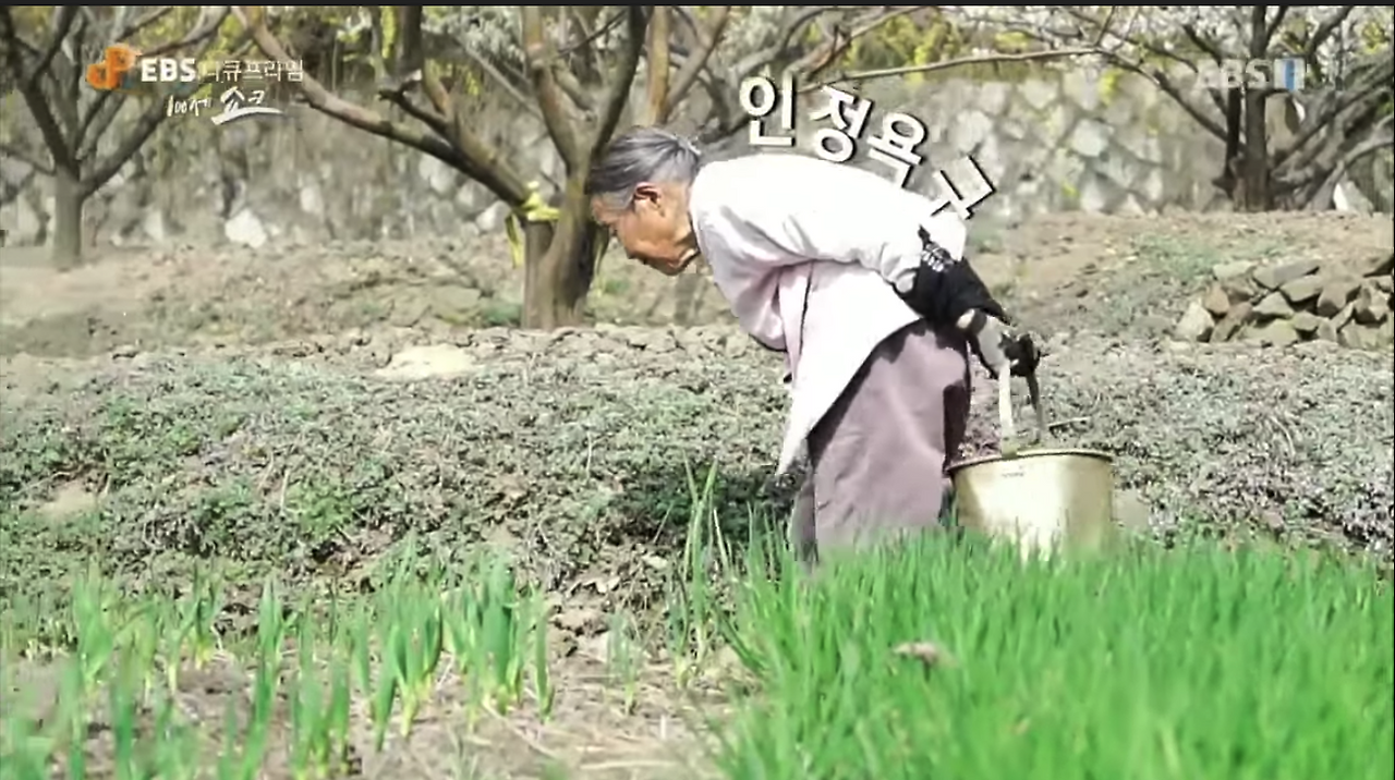 Screen Shot 2021-11-21 at 4.45.52 PM.png